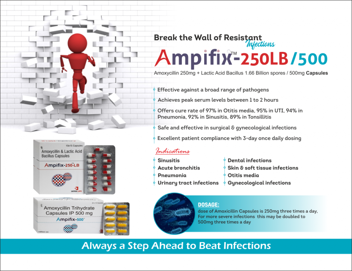 AMPIFIX 250 LB - Amoxycillin 250mg + Lactic Acid Bacillus 1.66 Billion spores | Intralife Pharmaceuticals - thumbnail 2