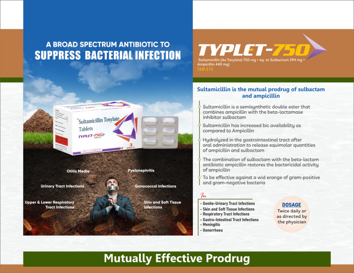 TYPLET-750 - thumbnail 2