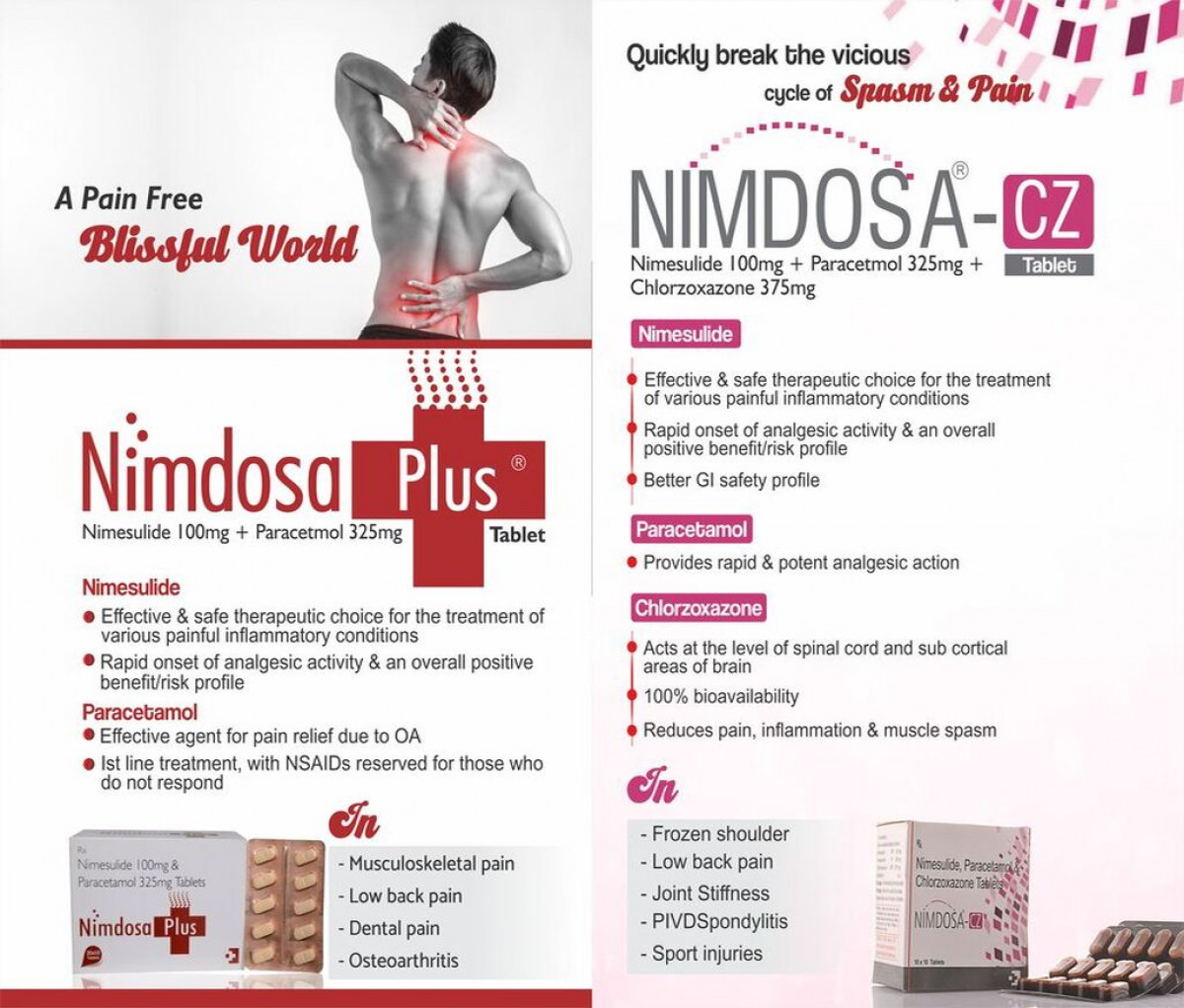 NIMDOSA-CZ - Nimesulide 100mg + Paracetamol 325mg + Chlorzoxazone 375 mg | Intralife Pharmaceuticals - thumbnail 2
