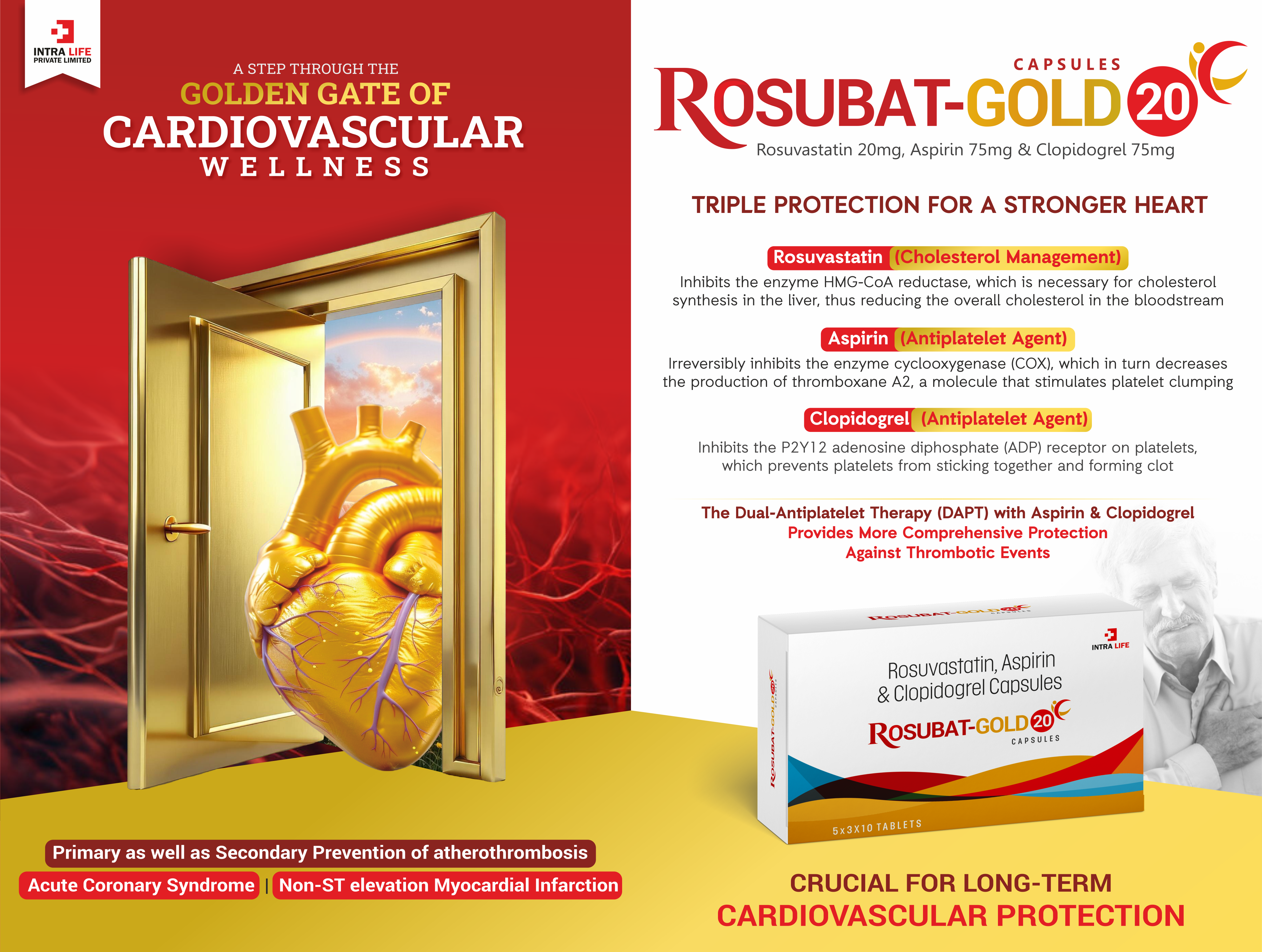 ROSUBAT-GOLD-20 - thumbnail 2