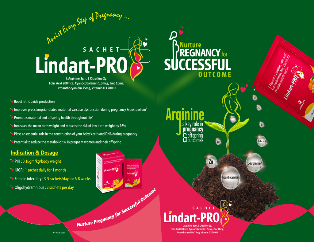 LINDART PRO - thumbnail 2