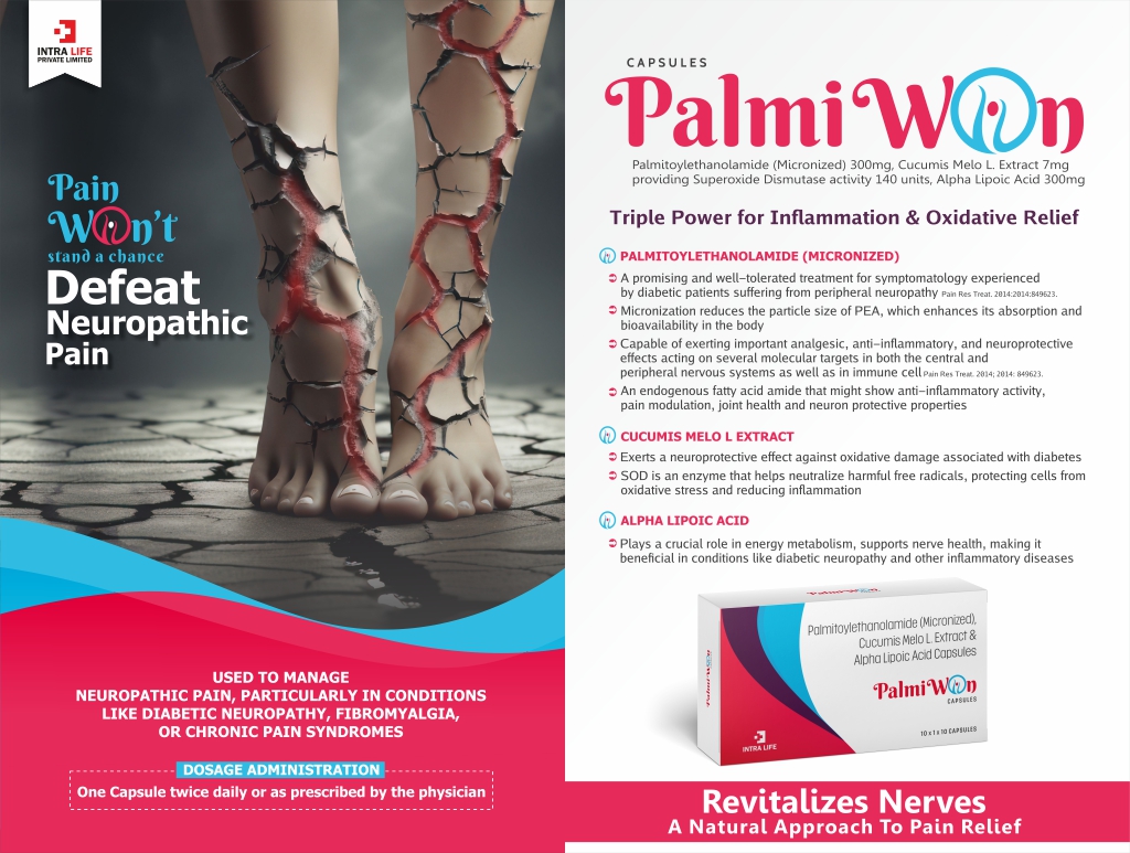 PALMIWON - thumbnail 2
