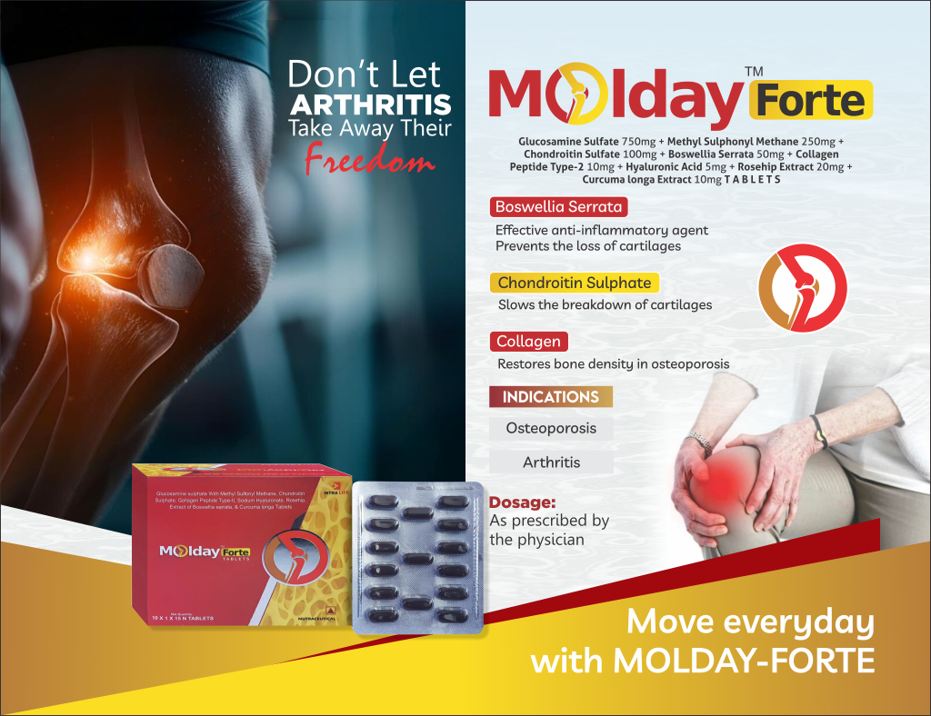 MOLDAY FORTE - thumbnail 2