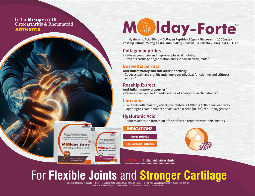 MOLDAY FORTE SACHET - thumbnail 2