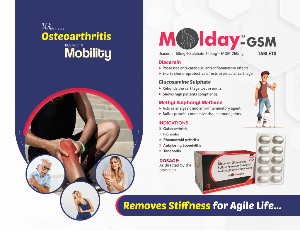 MOLDAY-GSM - thumbnail 2
